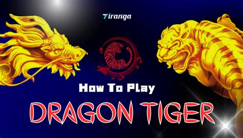 dragon tiger|How to Play Dragon Tiger .